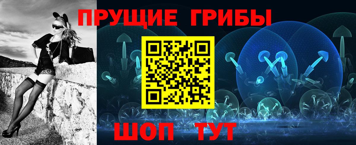 Псилоцибиновые грибы GOLDEN TEACHER Заречный