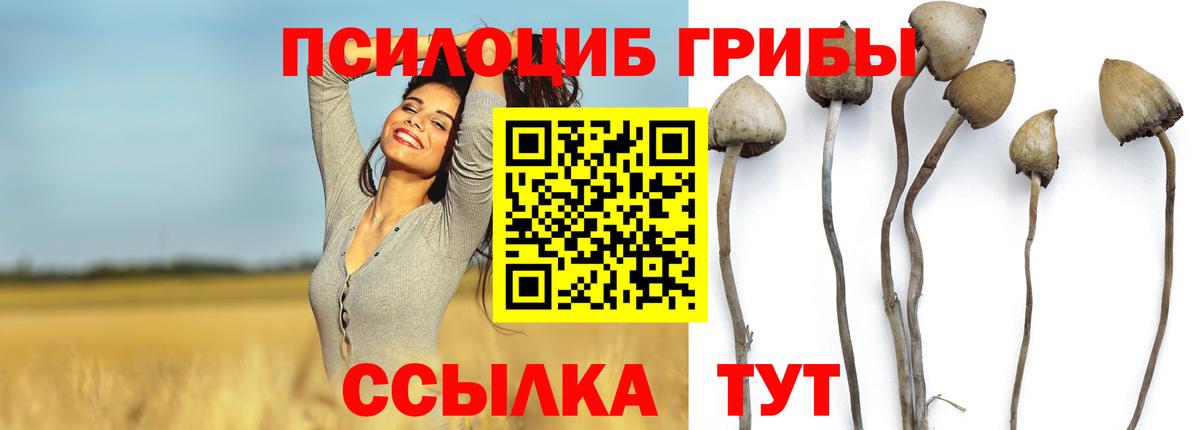 Галлюциногенные грибы ЛСД  Вход с VPN  Заречный 